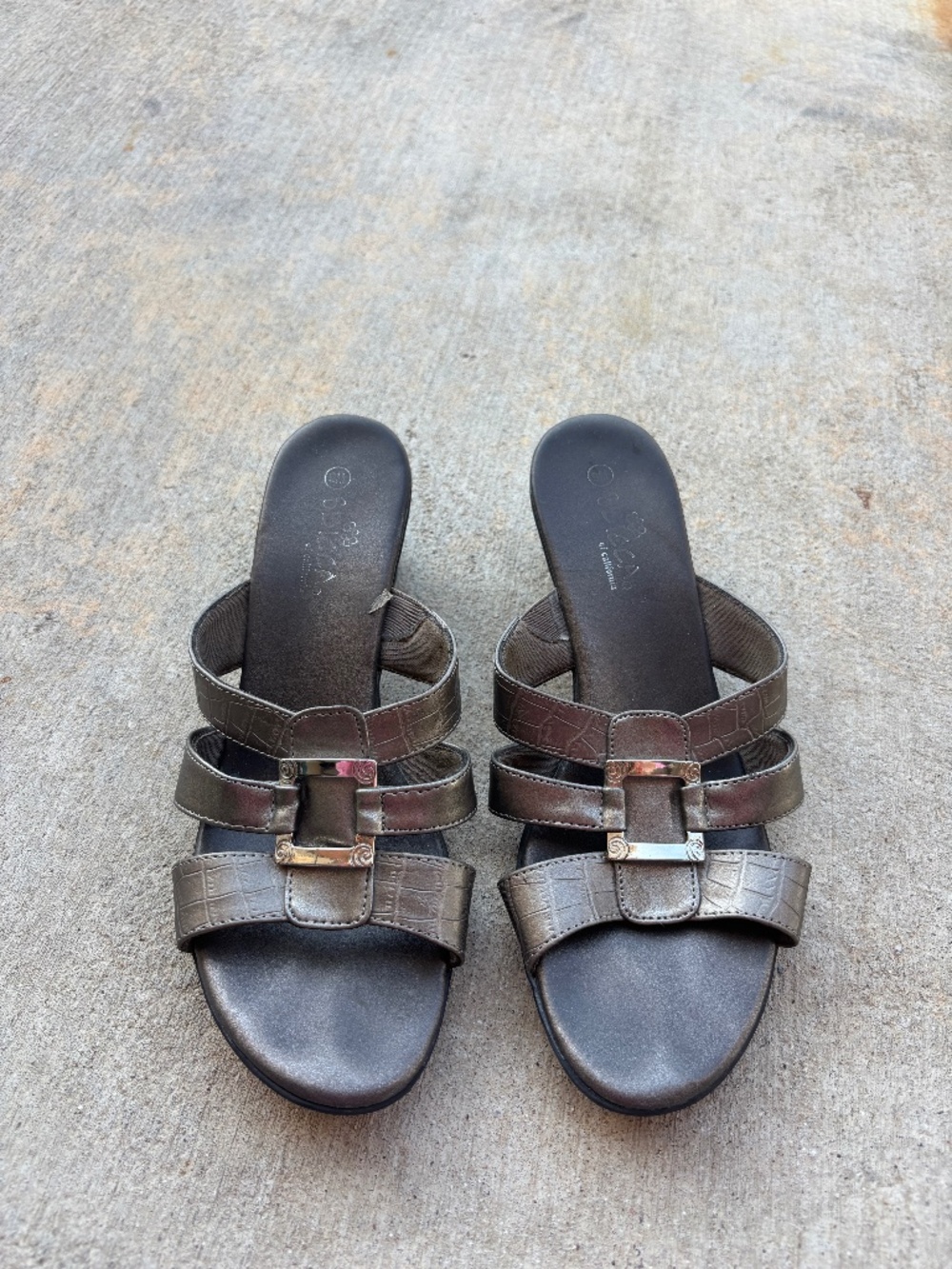 Y2K Silver SBICCA Metallic Leather Kitten Heels
